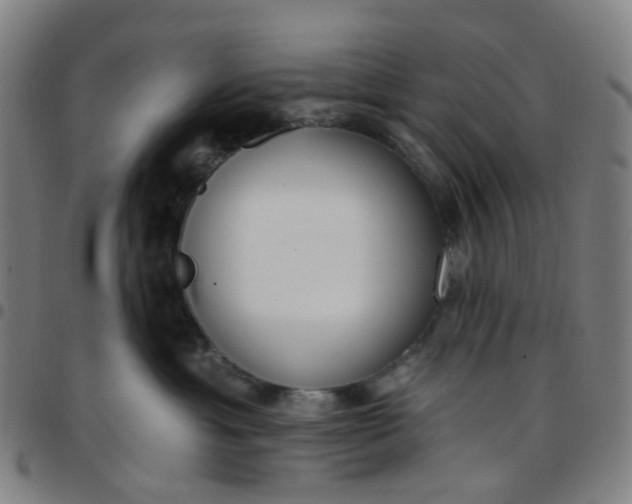 X0000097470429200803071658