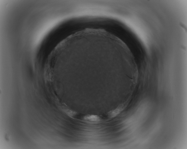 X0000097470431200803071658