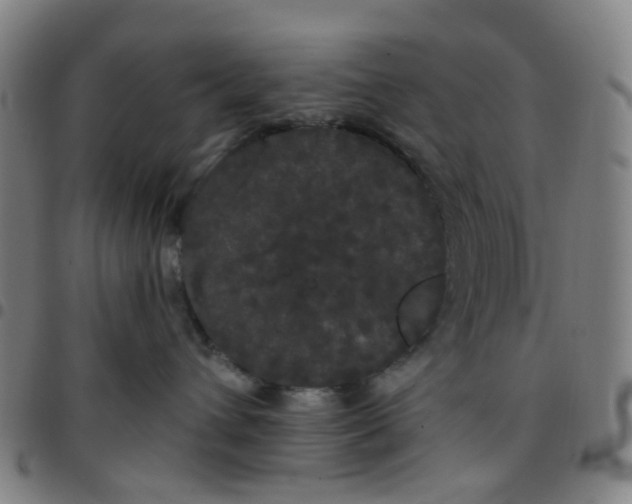 X0000097470432200803071658