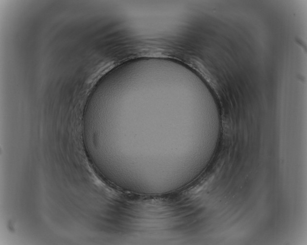 X0000097470433200803071657