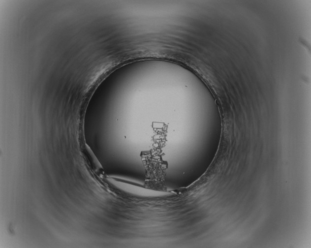 X0000097470434200803071657