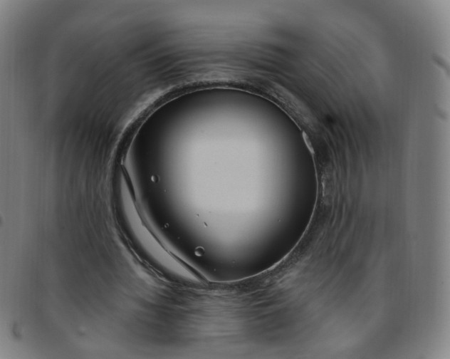 X0000097470436200803071657