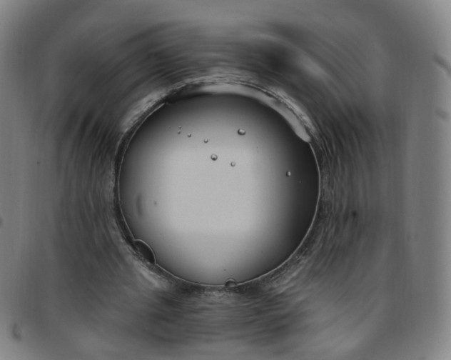 X0000097470437200803071657