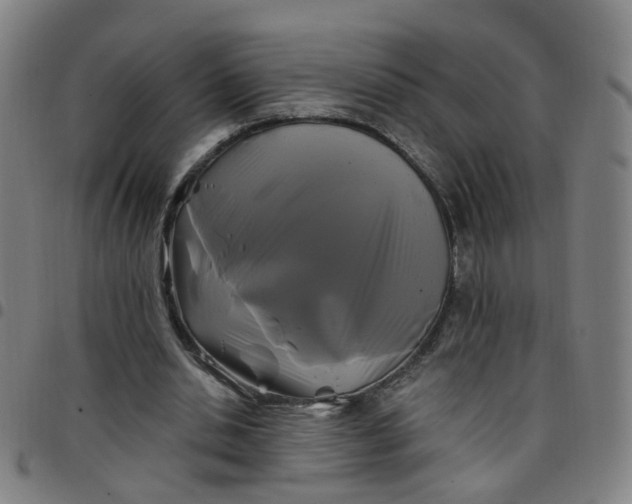 X0000097470438200803071657