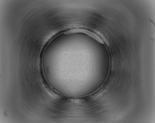 X0000097470439200803071657