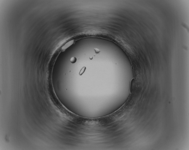 X0000097470440200803071657