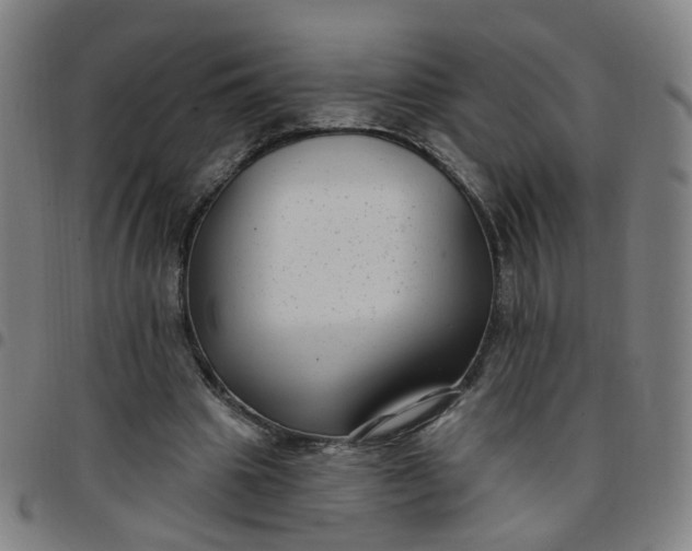 X0000097470441200803071657