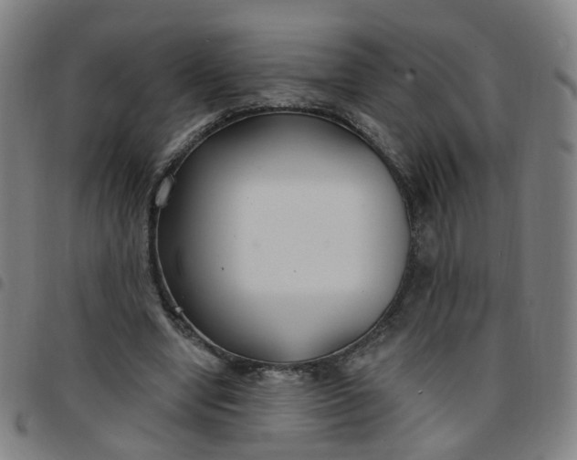 X0000097470442200803071657