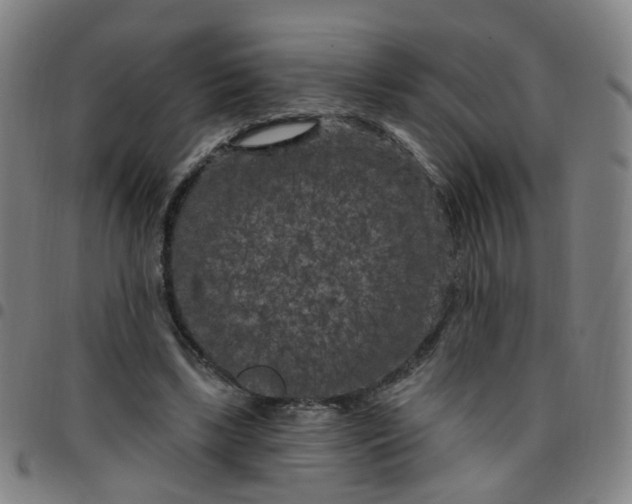 X0000097470443200803071657