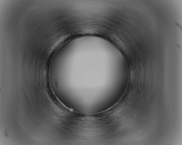 X0000097470444200803071657