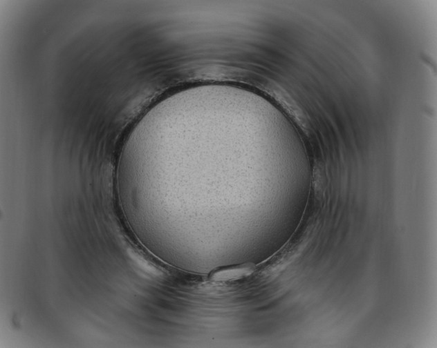 X0000097470445200803071657