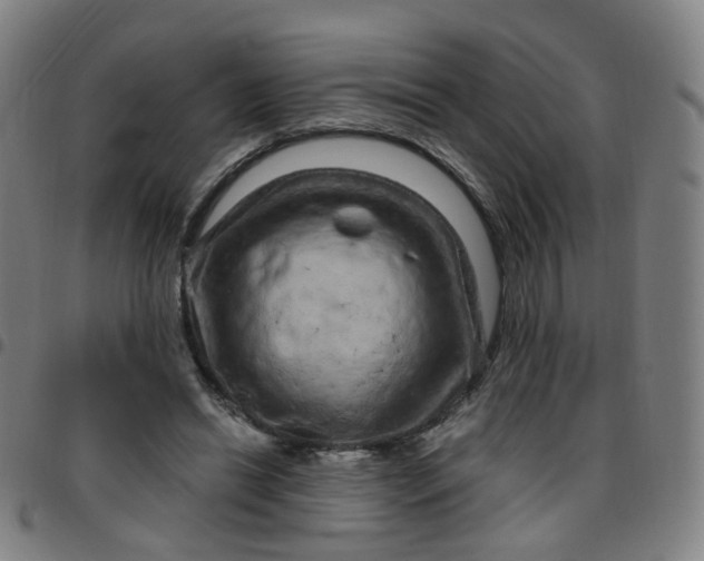 X0000097470446200803071657