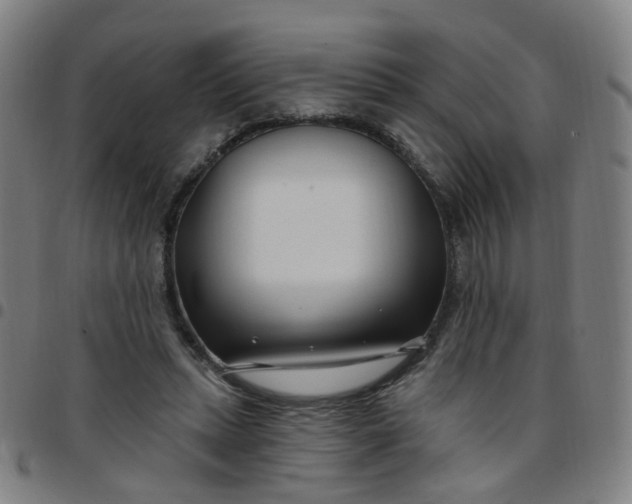 X0000097470447200803071657