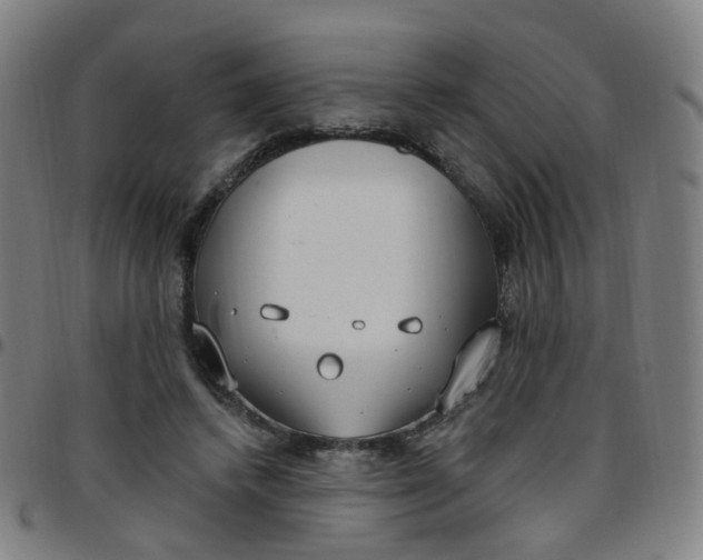 X0000097470448200803071657