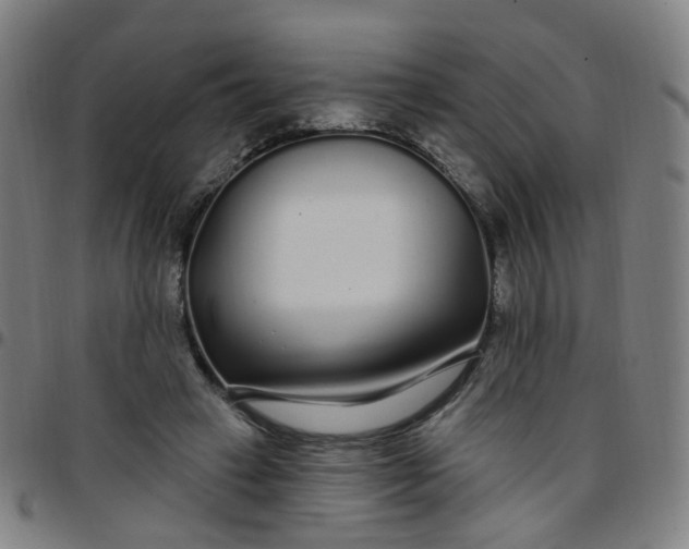 X0000097470449200803071657