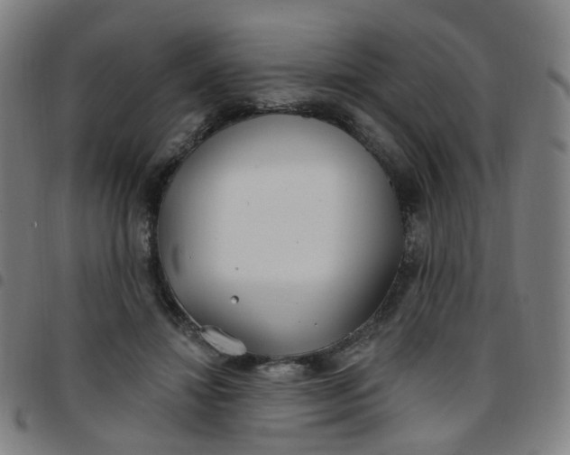 X0000097470452200803071657