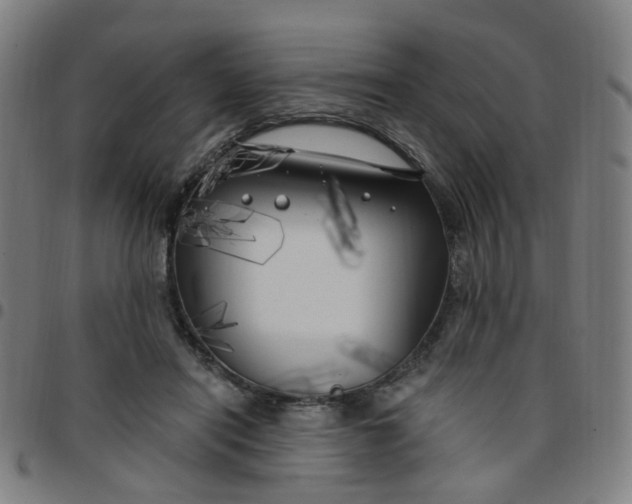 X0000097470454200803071657