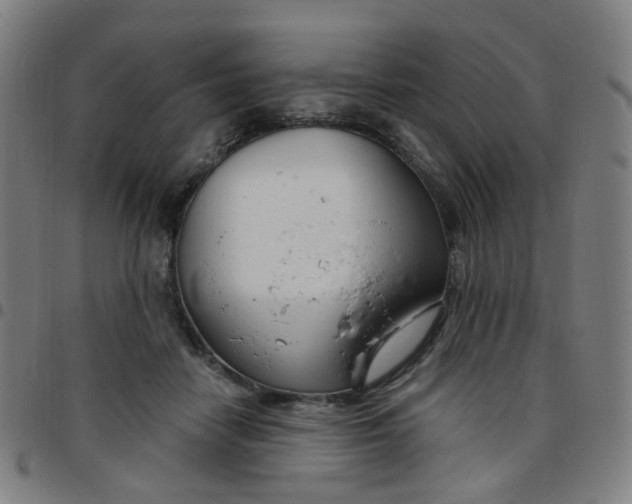 X0000097470458200803071657