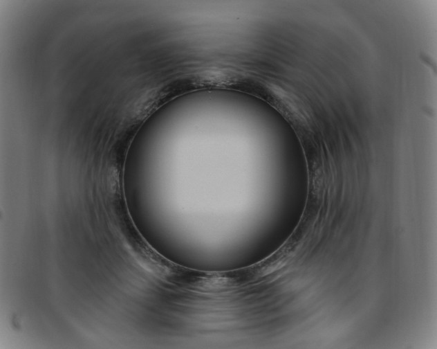 X0000097470459200803071657