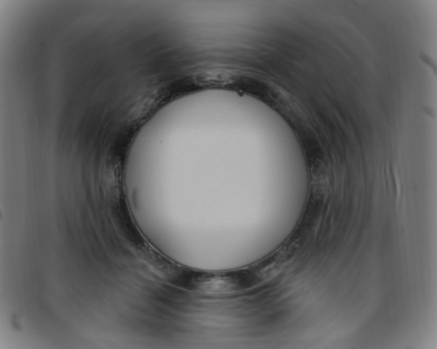 X0000097470460200803071657