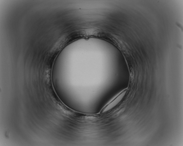 X0000097470462200803071657