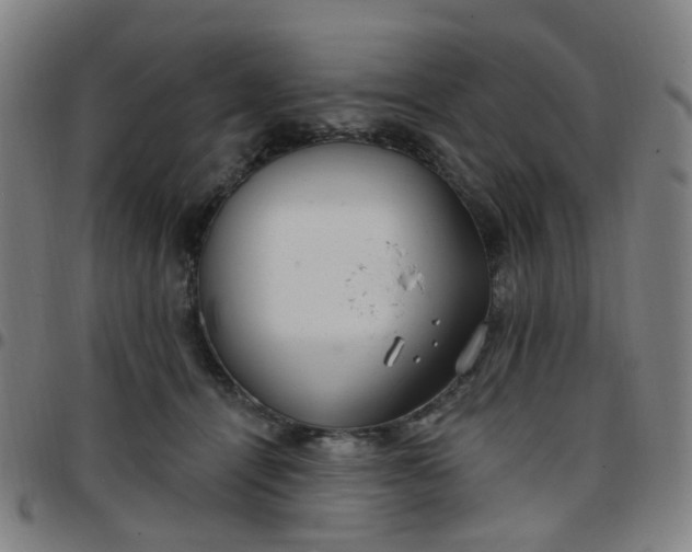 X0000097470464200803071657