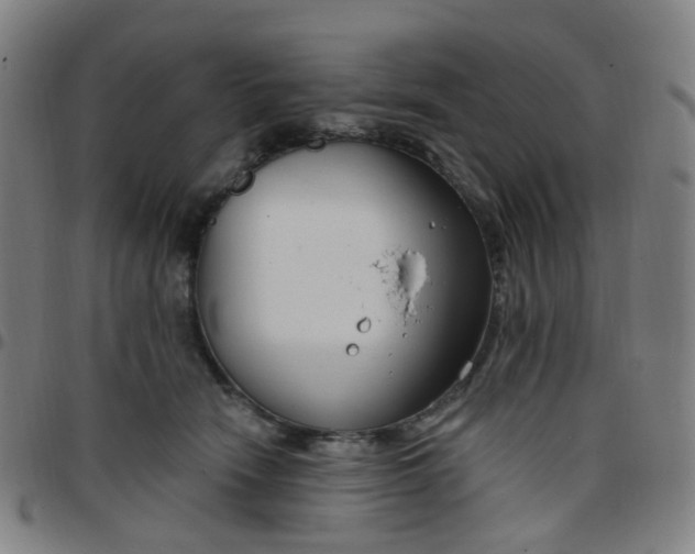 X0000097470466200803071657