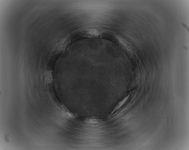 X0000097470467200803071657