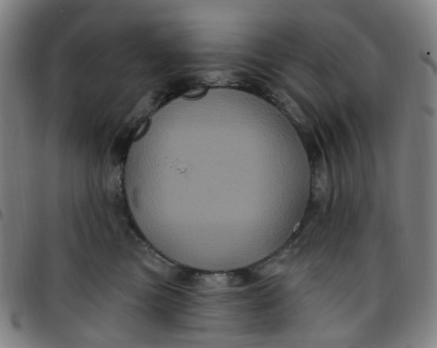 X0000097470473200803071658
