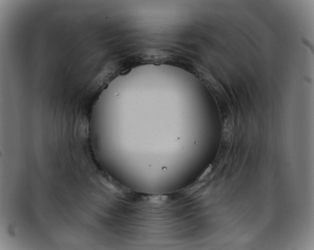 X0000097470474200803071658