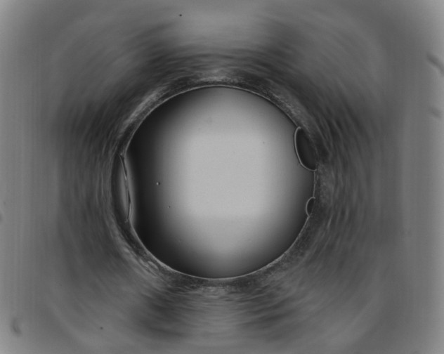 X0000097470482200803071657