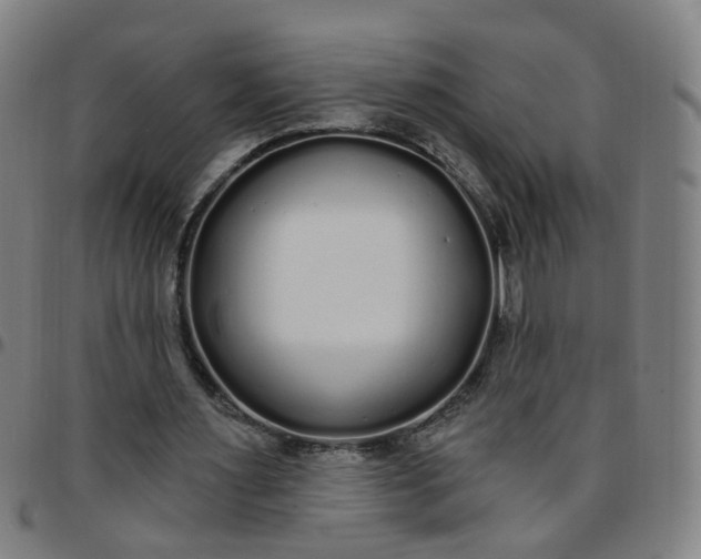 X0000097470483200803071657
