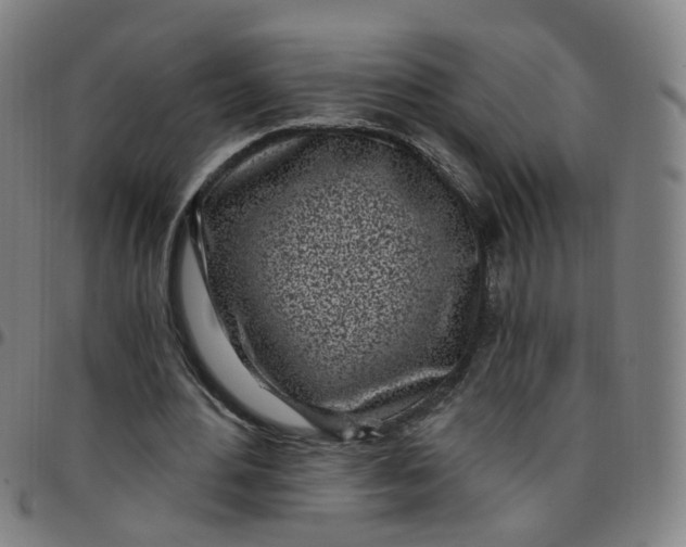 X0000097470484200803071657