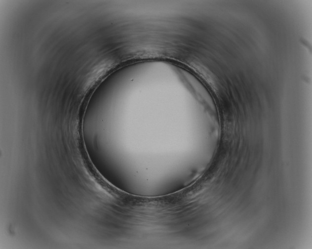 X0000097470485200803071657