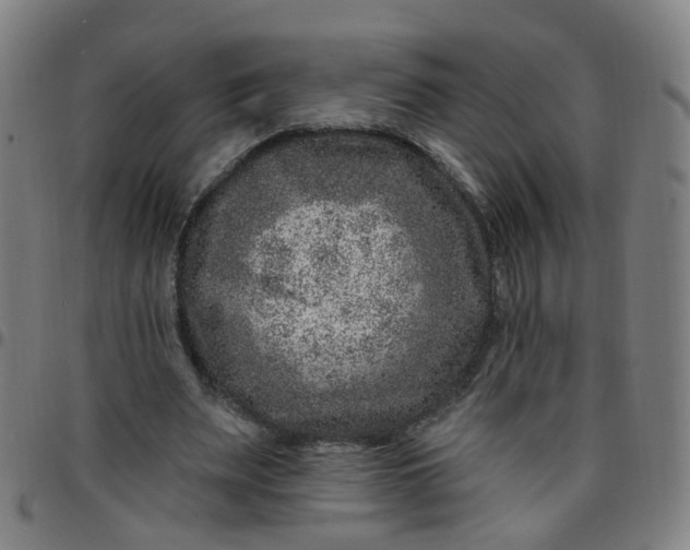 X0000097470487200803071657