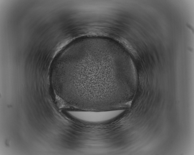 X0000097470488200803071657