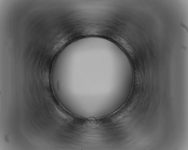 X0000097470489200803071657