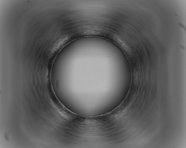 X0000097470490200803071657