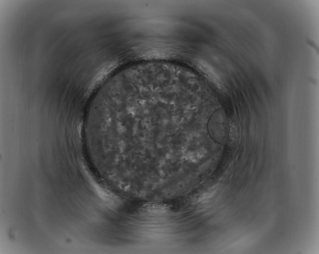 X0000097470491200803071657
