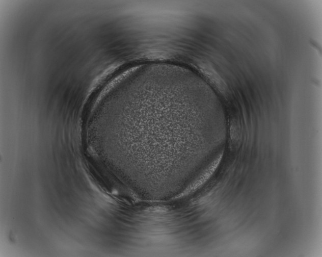 X0000097470492200803071657