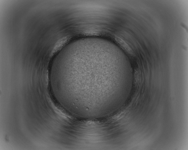 X0000097470494200803071657
