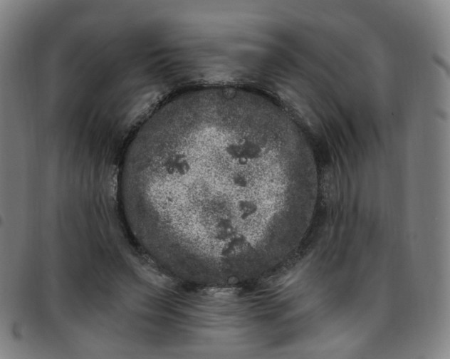 X0000097470495200803071657