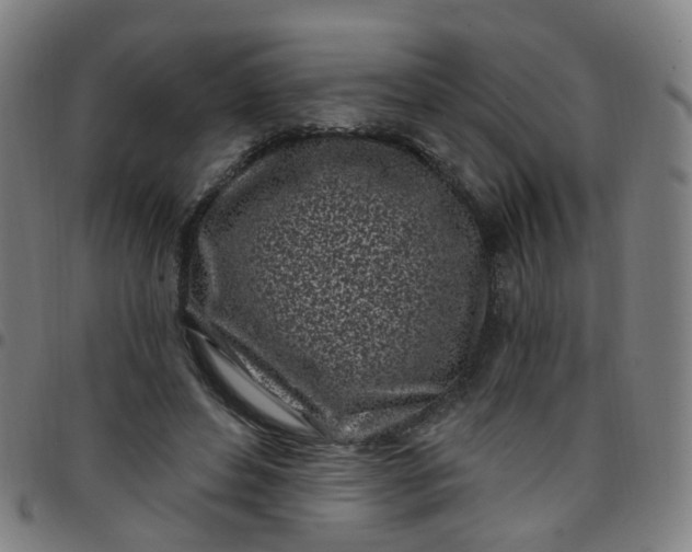 X0000097470496200803071657