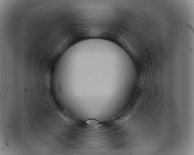 X0000097470497200803071657