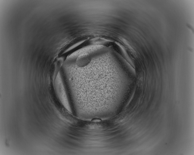 X0000097470500200803071657