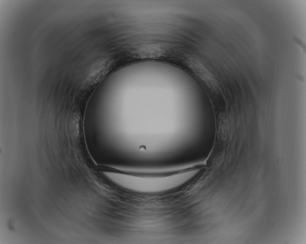 X0000097470501200803071657
