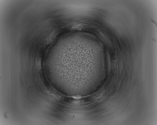 X0000097470504200803071657