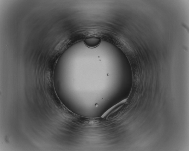 X0000097470506200803071656