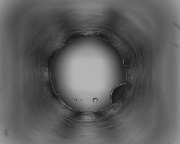 X0000097470510200803071656