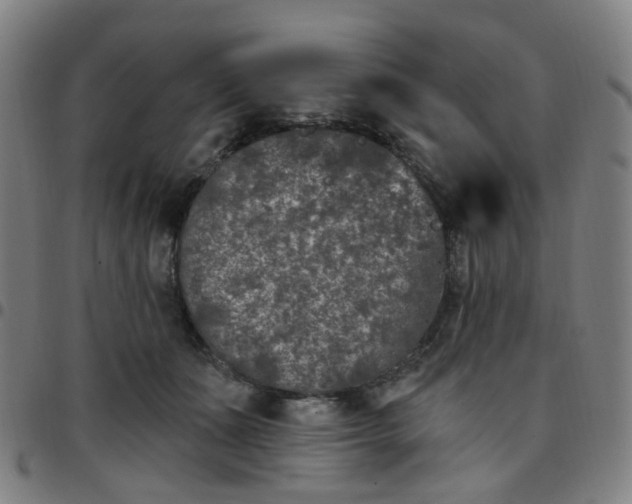 X0000097470511200803071656